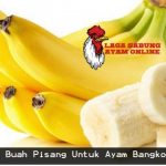 manfaat buah pisang