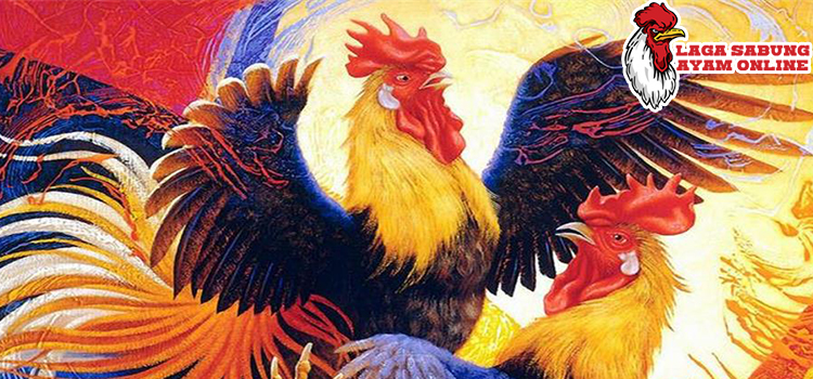 mitos sabung ayam